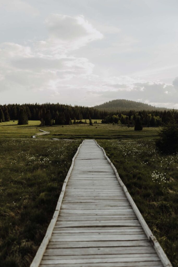 elopement im erzgebirge bozidar hochmoor gottesgab tschechien 2841 1